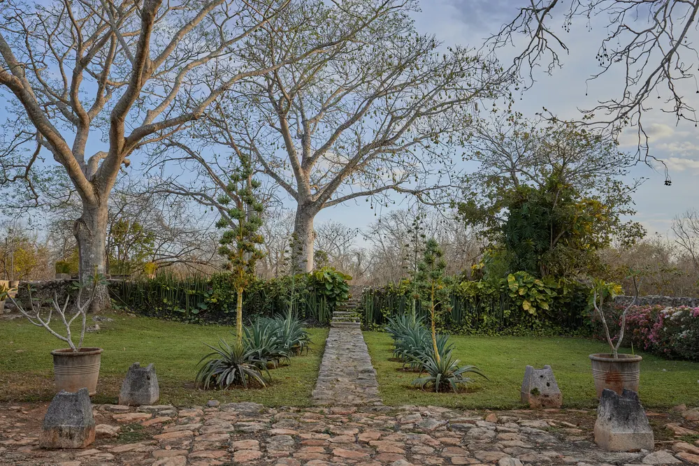 Hacienda Subin, photo 15