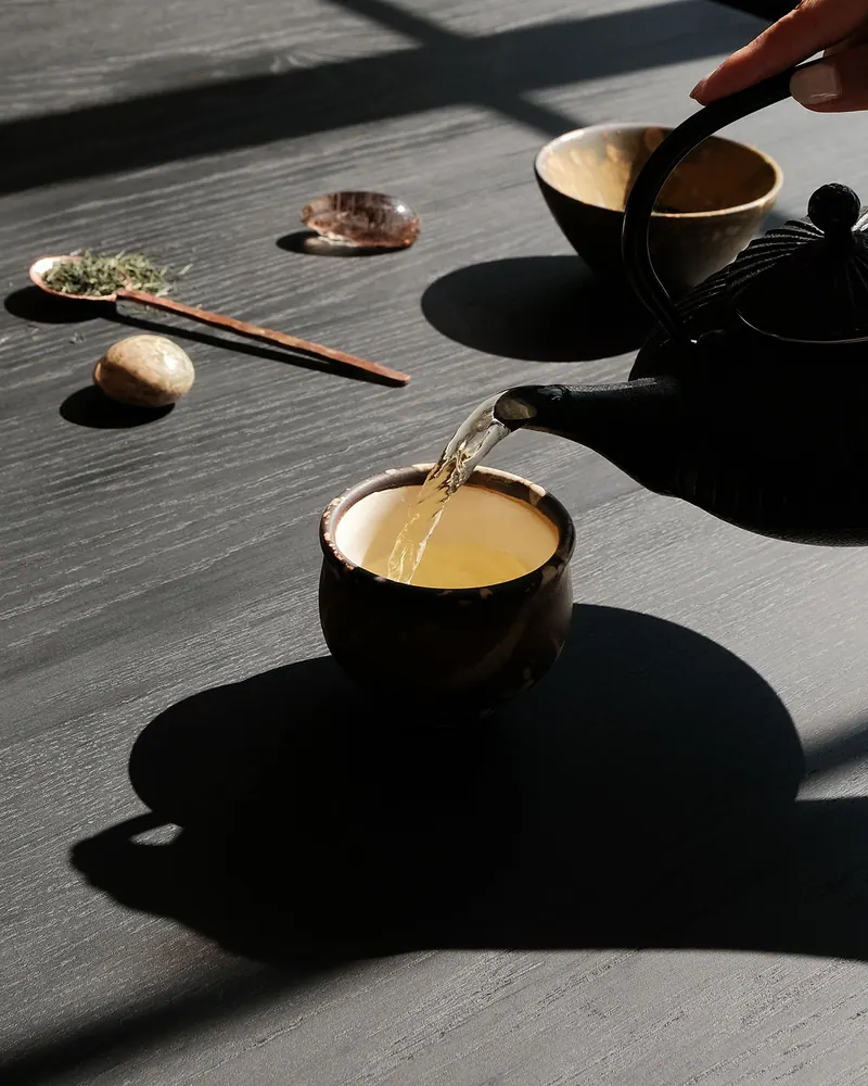 HAUS Wellness, photo 6